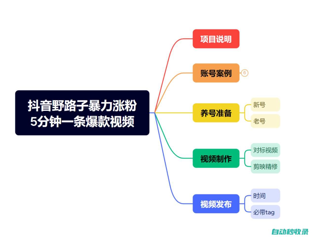 抖音暴力涨粉野路子，五分钟一条视频，适合新手小白！