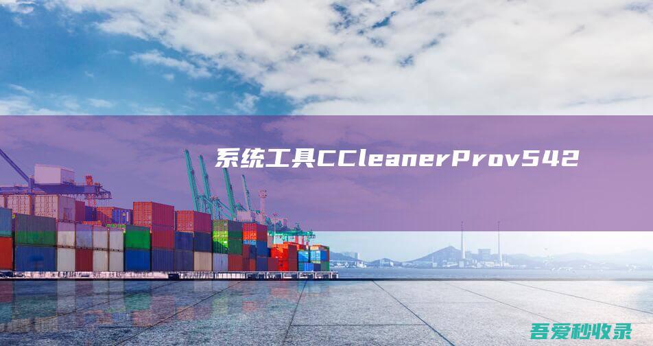 [系统工具]CCleanerProv5.42专业增强版及绿色特别版