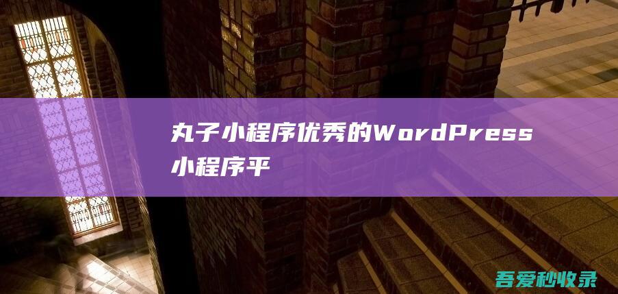 丸子小程序-优秀的WordPress小程序平台