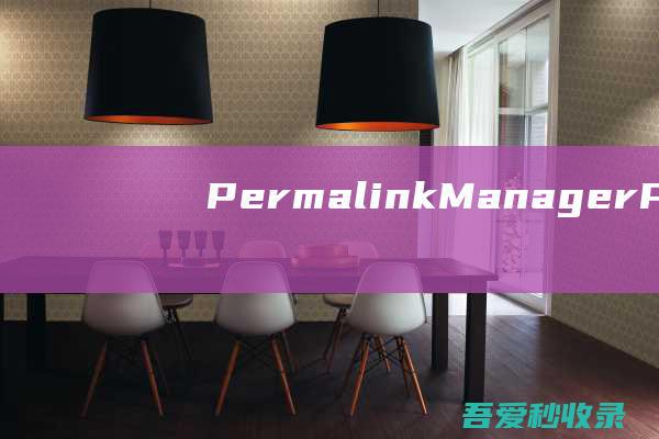 PermalinkManagerProv2.4.4.1破解版永久链接管理插件