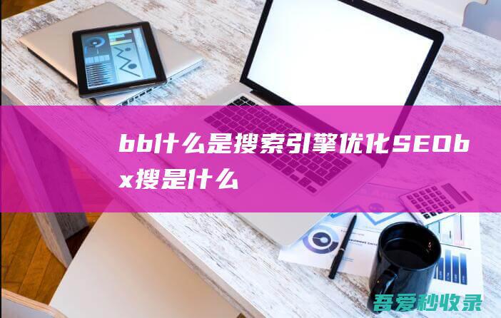 b b 什么是搜索引擎优化 SEO (bx搜是什么)