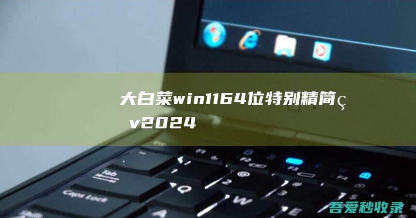 大白菜win1164位特别精简版v2024.10免激活