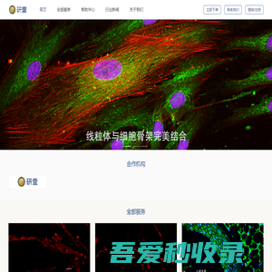 研壹生物-研壹团队从事数据统计-实验设计、论文返修、实验代做、SCI论文润色、医学专业翻译服务