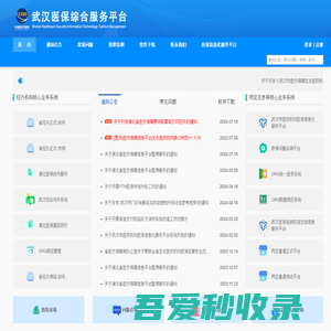 武汉市医疗保障局-医保综合服务平台