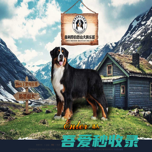 首页 - 伯恩山犬,伯恩山,森利得犬舍,bmdchina