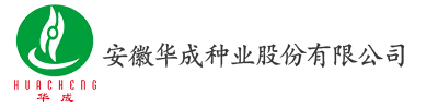 安徽华成种业股份有限公司安徽华成种业股份有限公司｜种子公司｜华成种业