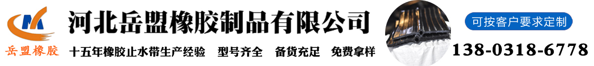 橡胶止水带-中埋式-651型厂家-河北岳盟橡胶制品有限公司