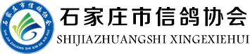 石家庄市信鸽协会