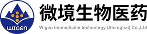 微境生物医药科技（上海）有限公司